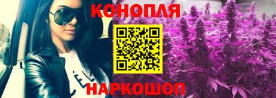 PSILOCYBIN Будённовск